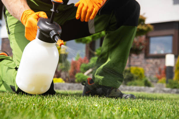 Best Best Pest Control Companies  in Volga, SD