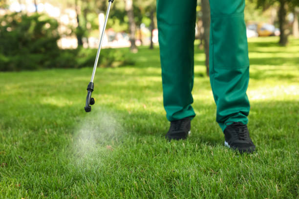 Best Emergency Pest Control  in Volga, SD