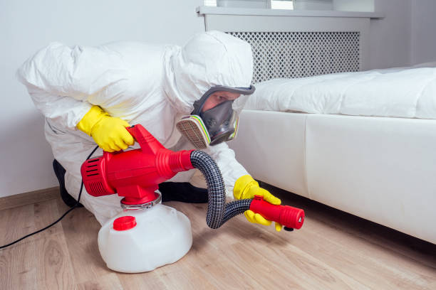 Best Local Pest Control Services  in Volga, SD