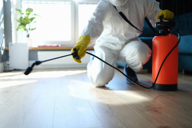 Best Flea Control Services  in Volga, SD