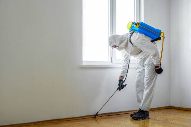 Best Bed Bug Extermination  in Volga, SD