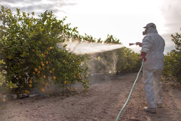 Best Affordable Pest Control Services  in Volga, SD
