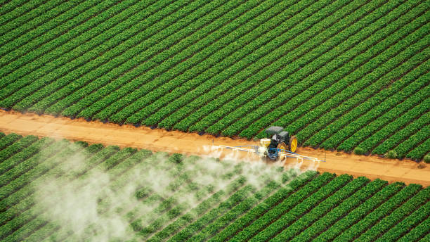 Best Ant Control Services  in Volga, SD
