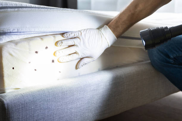 Best Pest Control for Businesses  in Volga, SD