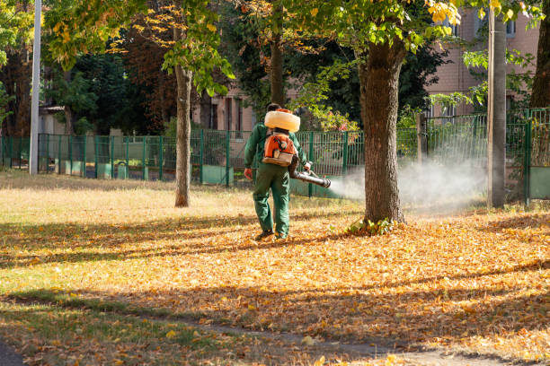 Pest Prevention Services in Volga, SD