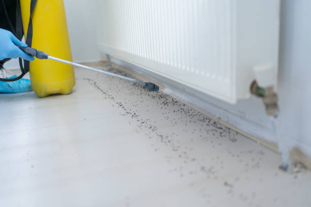 Best Best Pest Control Companies  in Volga, SD